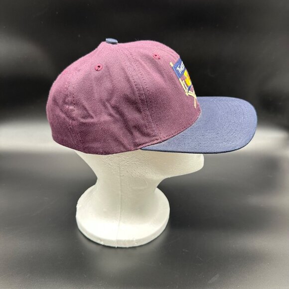 Vintage Baseball Cap 1991 Tweety Embroidered Hat Purple Navy Warner Bros USA - Picture 3 of 10